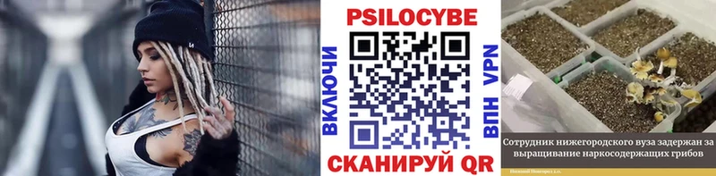 маркетплейс наркотические препараты  даркнет сайт  Рыбинск  Псилоцибиновые грибы MAGIC MUSHROOMS 